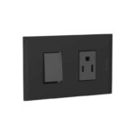 INTERRUPTOR SENCILLO 15A+TOMA 2P+T16A NG