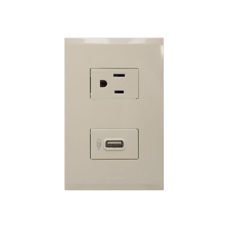 12451-min TOMA SENCILLO DE 2P 16A + USB MF - Imagen 1