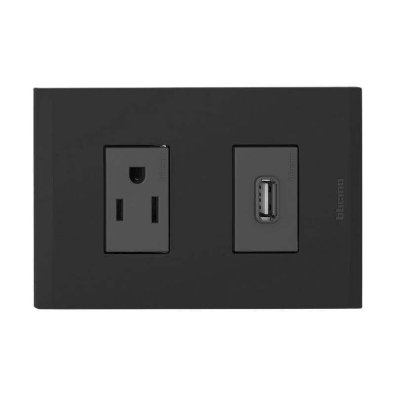 12453-min TOMA SENCILLO DE 2P 16A + USB NG - Imagen 1
